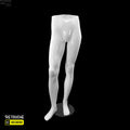 Male Legs Mannequin, Metal Base, White Color - Retouche Hub General Trading LLC®