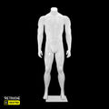 Male Mannequin, Headless, Glossy White Color Male Mannequin