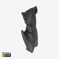 Female Jewelry Mannequin Bust Display, Black Color Displays & Showcases